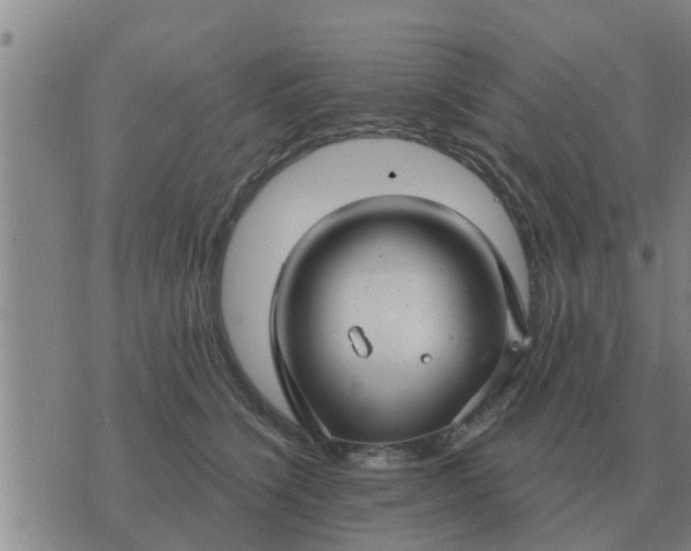 X0000074340564200609082100