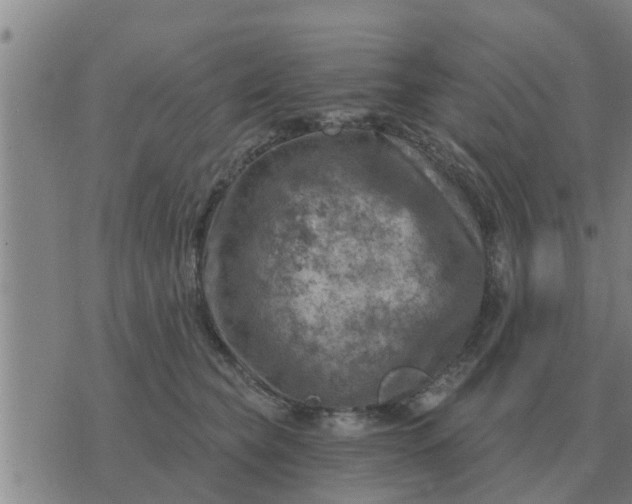 X0000074340565200609082100