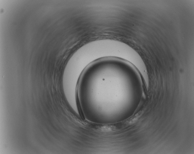 X0000074340566200609082100