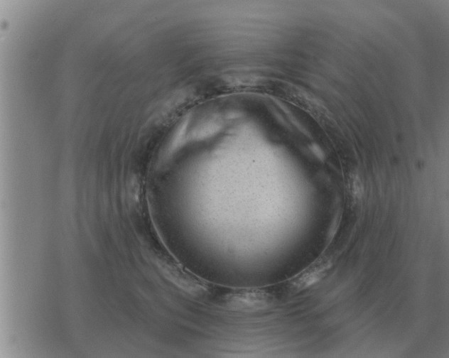 X0000074340567200609082100