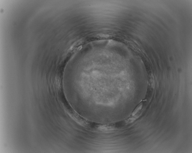 X0000074340568200609082100