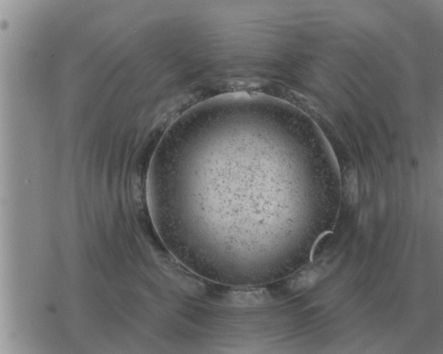 X0000074340571200609082100