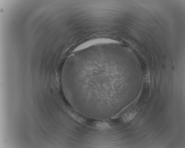 X0000074340572200609082100