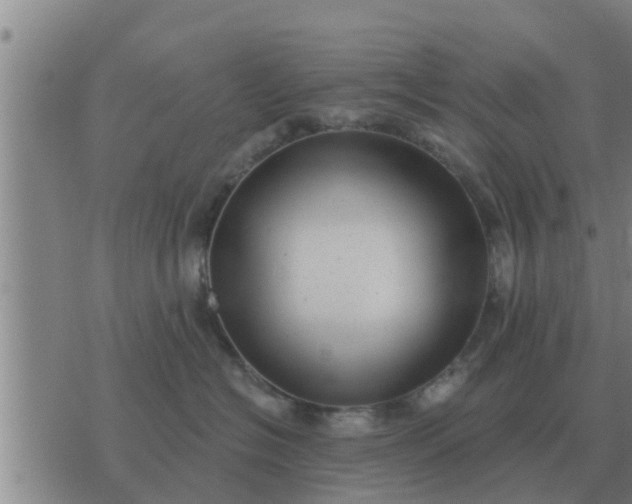 X0000074340574200609082100