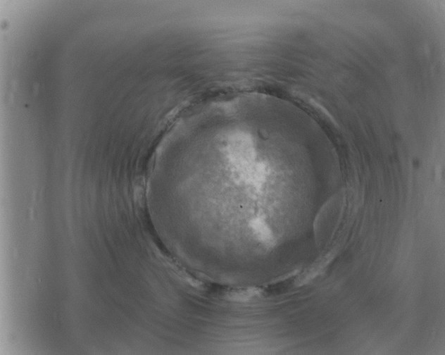 X0000074340576200609082100