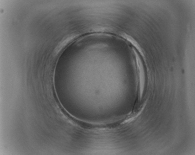 X0000074340577200609082059