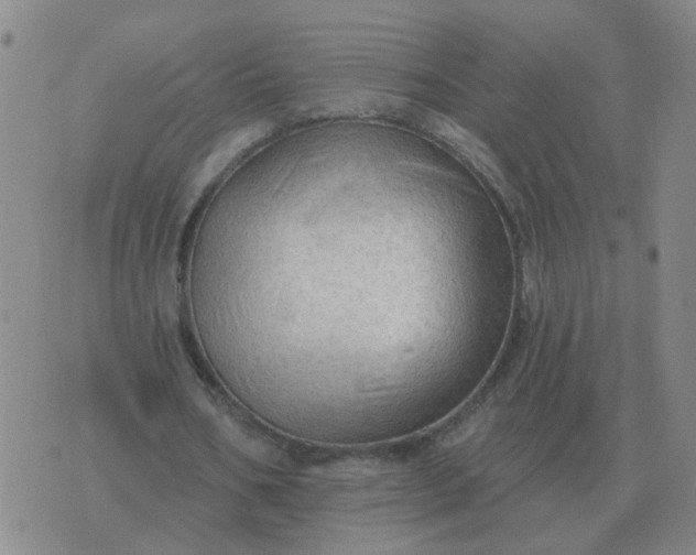 X0000074340578200609082059