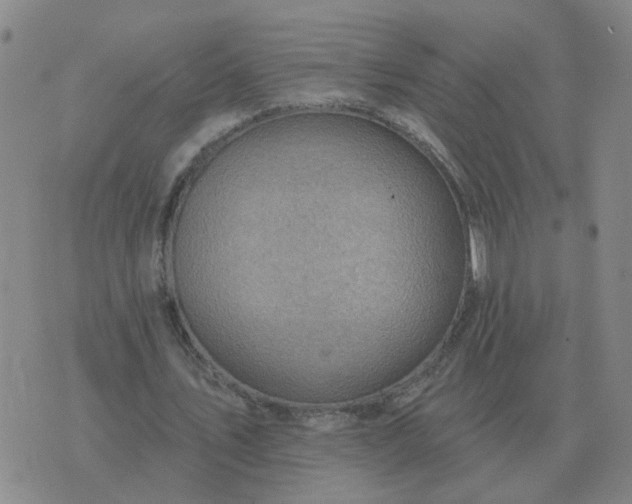 X0000074340579200609082059