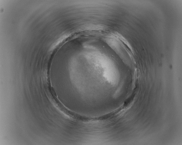 X0000074340581200609082059