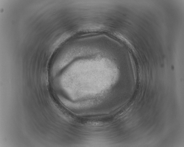 X0000074340582200609082059