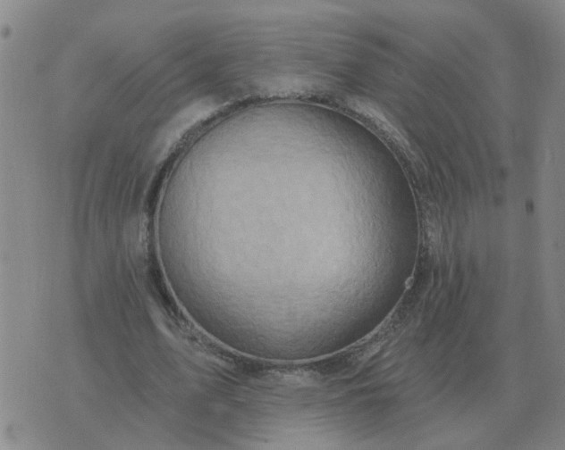 X0000074340583200609082059