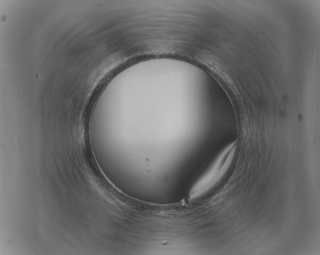 X0000074340584200609082059