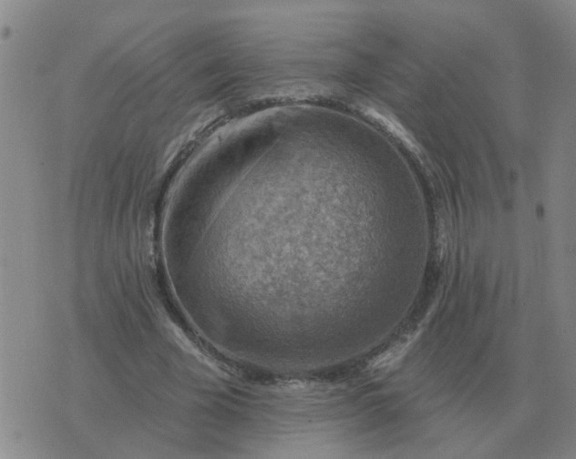 X0000074340585200609082059