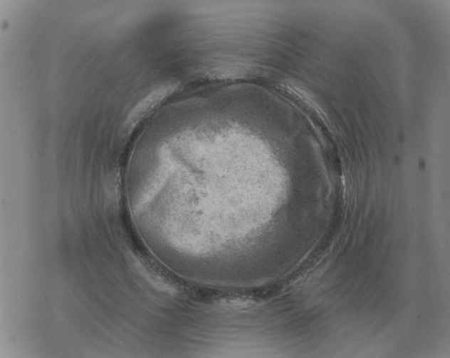 X0000074340586200609082059