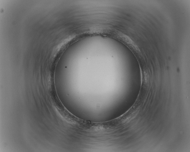 X0000074340588200609082059