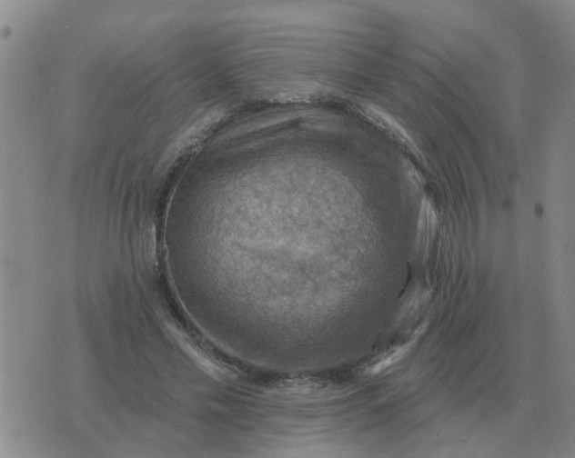 X0000074340589200609082059