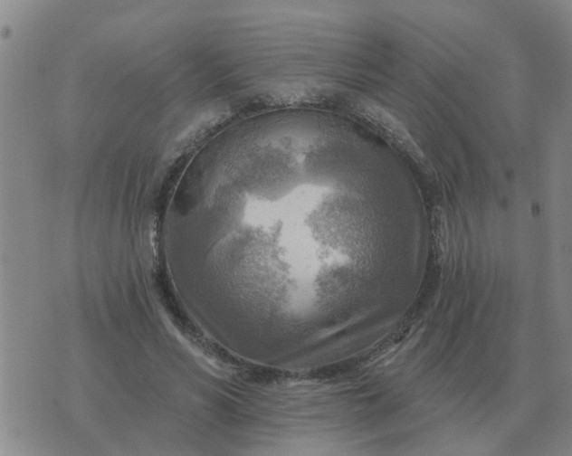 X0000074340590200609082059