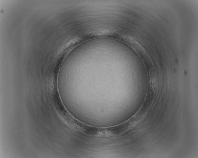 X0000074340591200609082059