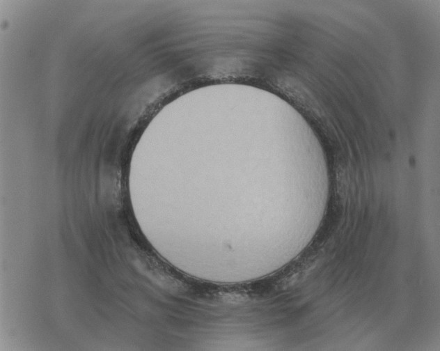 X0000074340592200609082059