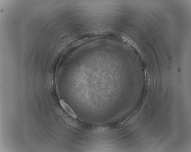 X0000074340593200609082059