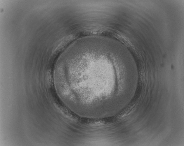 X0000074340594200609082059