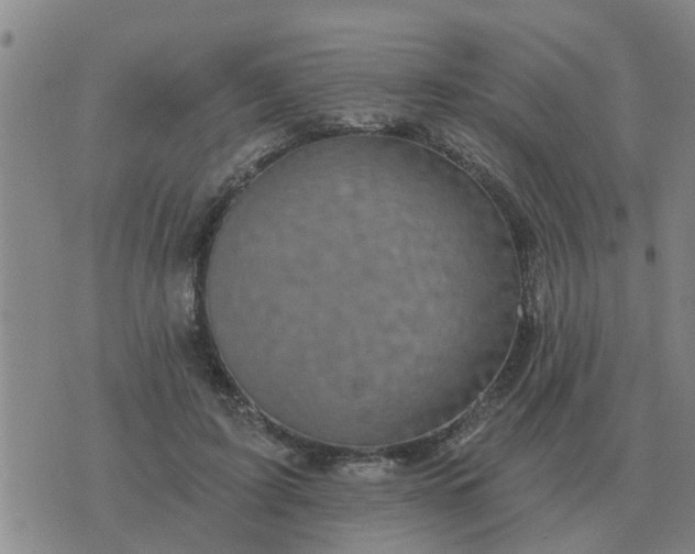 X0000074340595200609082059