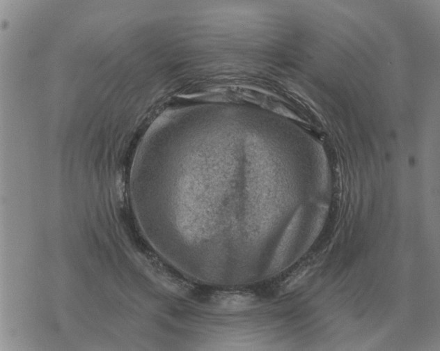 X0000074340597200609082059