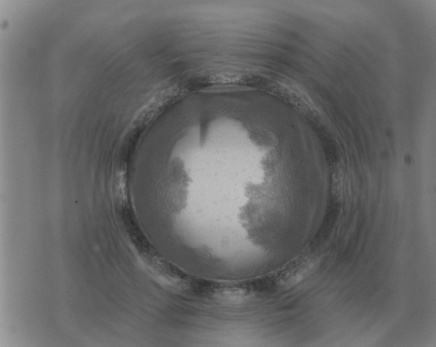 X0000074340598200609082059