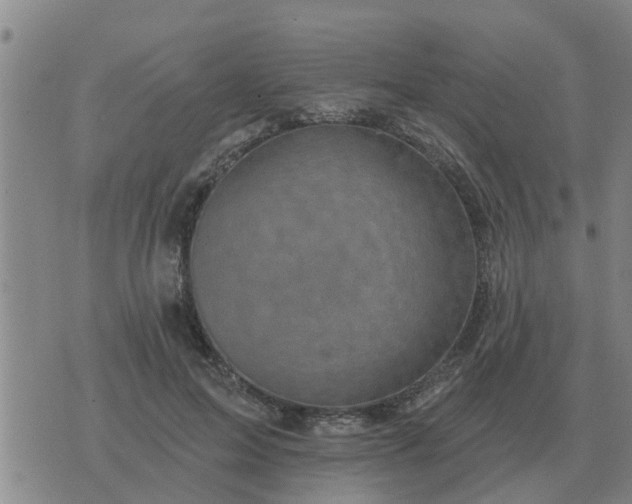 X0000074340599200609082059