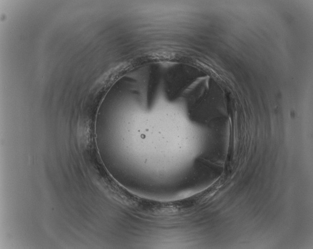 X0000074340600200609082059