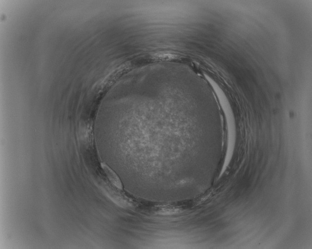 X0000074340601200609082059