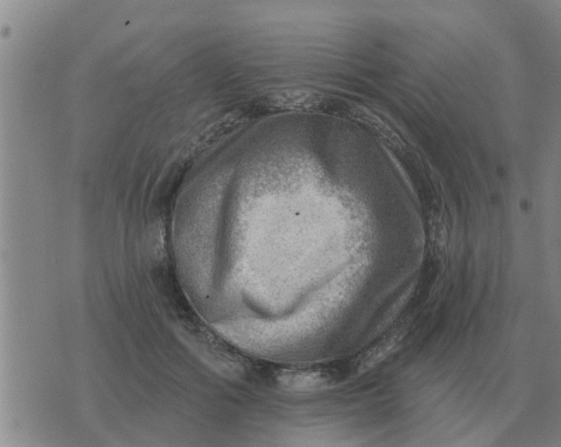 X0000074340602200609082059