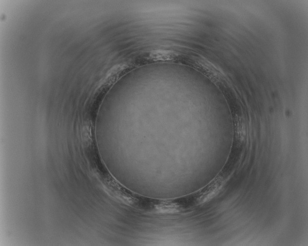 X0000074340603200609082059