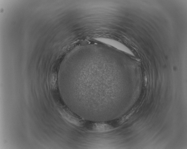 X0000074340605200609082059