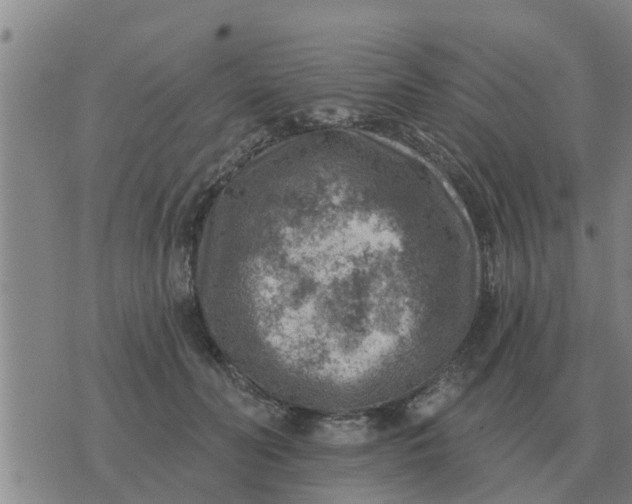 X0000074340606200609082059