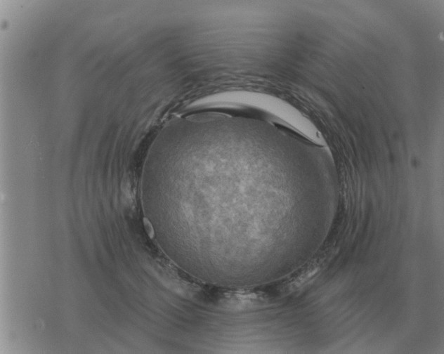 X0000074340607200609082059