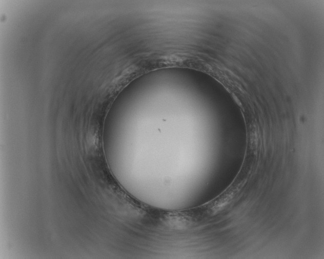 X0000074340608200609082059