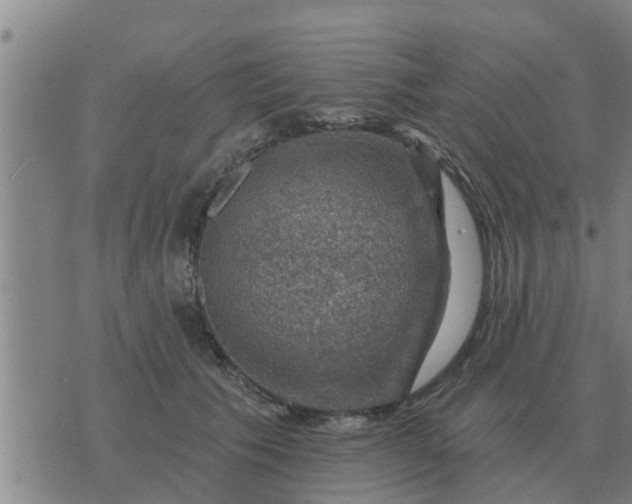 X0000074340609200609082059