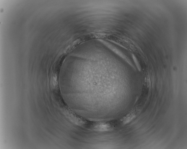 X0000074340610200609082059