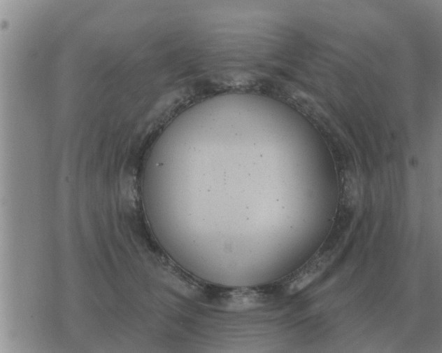 X0000074340612200609082059