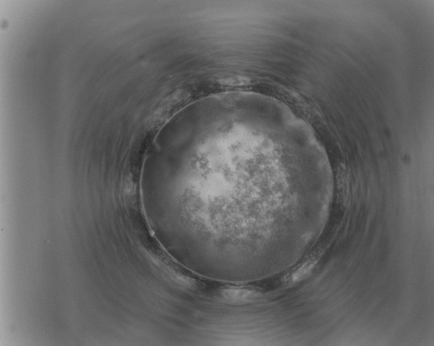 X0000074340614200609082059