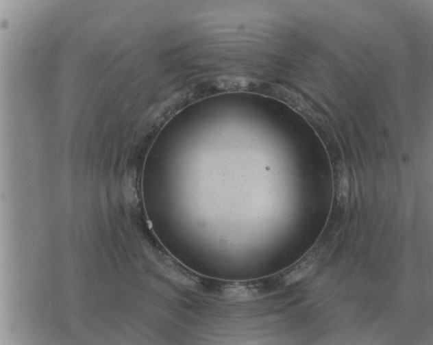 X0000074340616200609082059