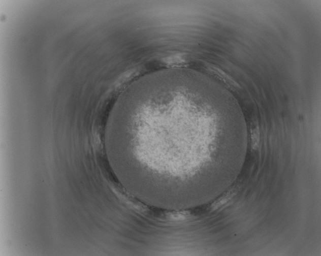 X0000074340618200609082059