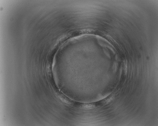 X0000074340619200609082059