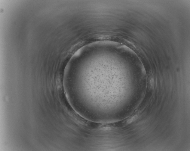 X0000074340620200609082059