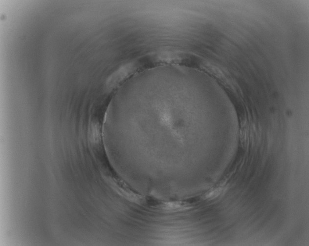 X0000074340623200609082058