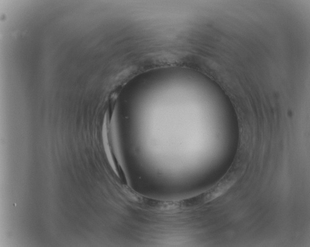 X0000074340624200609082058