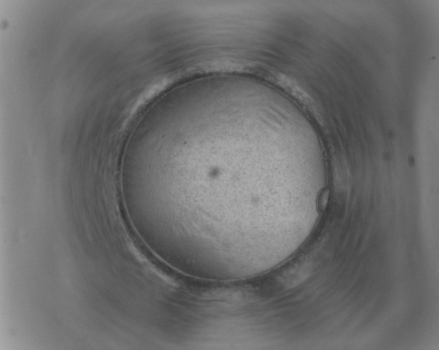 X0000074340625200609082058