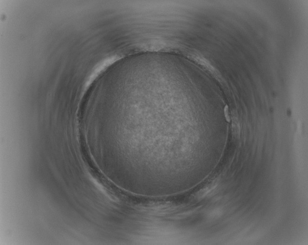 X0000074340626200609082058