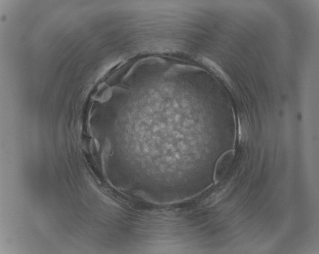 X0000074340627200609082058